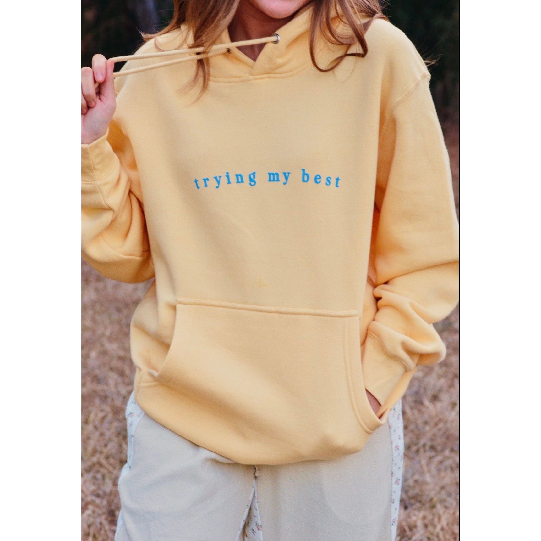 Trying My Best Hoodie - The Hive by Chris Jesselle