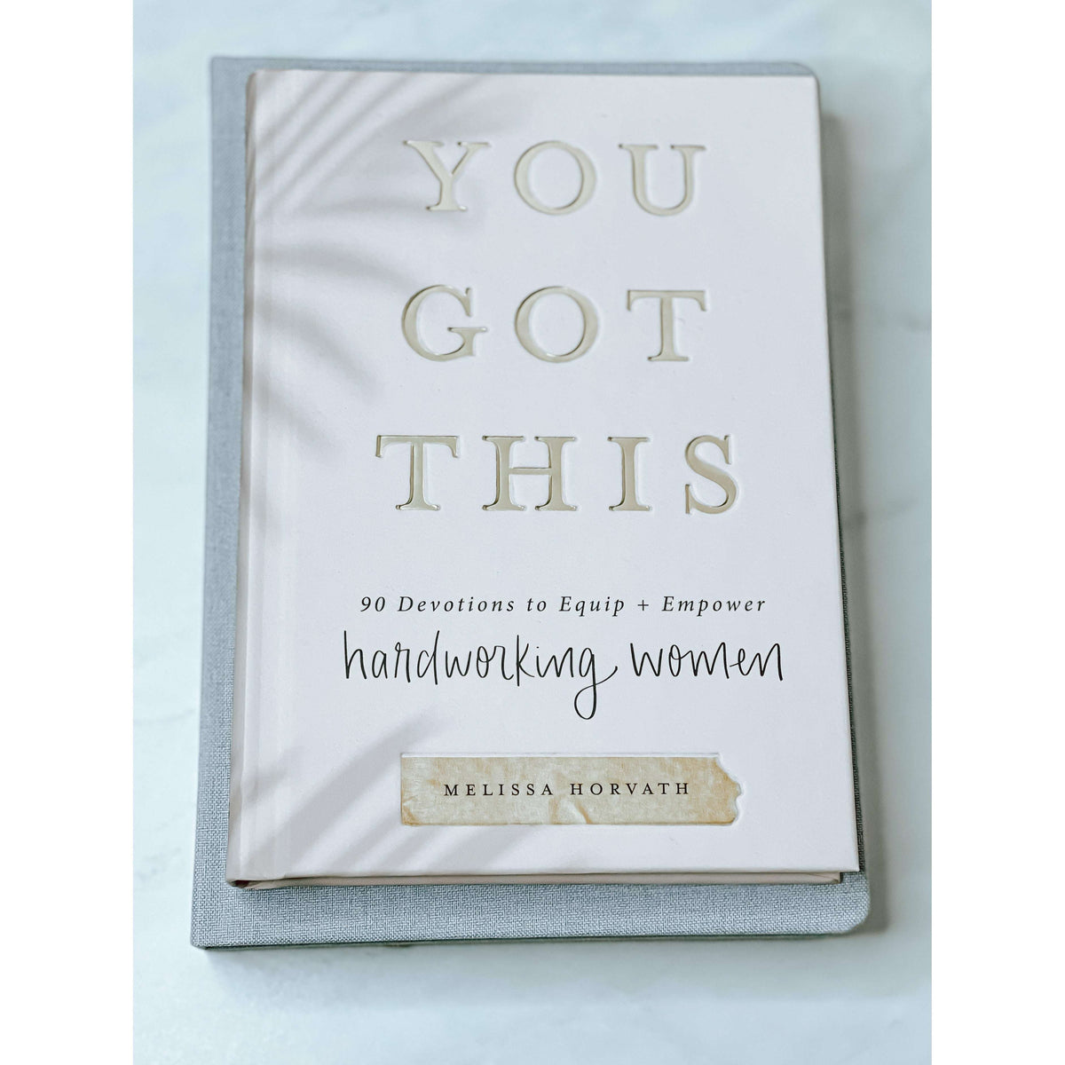 You Got This: 90 Devotions - The Hive by Chris Jesselle
